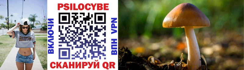 Псилоцибиновые грибы Psilocybine cubensis  МЕГА   Сергач 